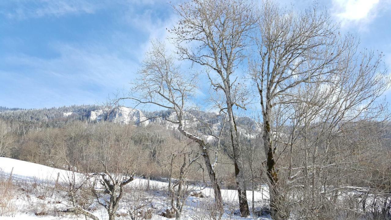Maison D'Hotes Agathe Et Sophie Lans-en-Vercors Εξωτερικό φωτογραφία